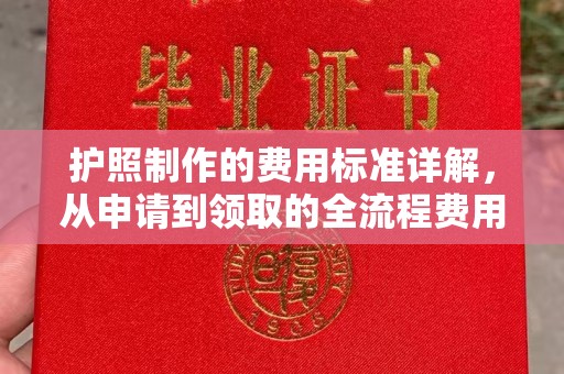 上林护照制作的费用标准详解，从申请到领取的全流程费用指南