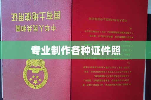 上林专业制作各种证件照