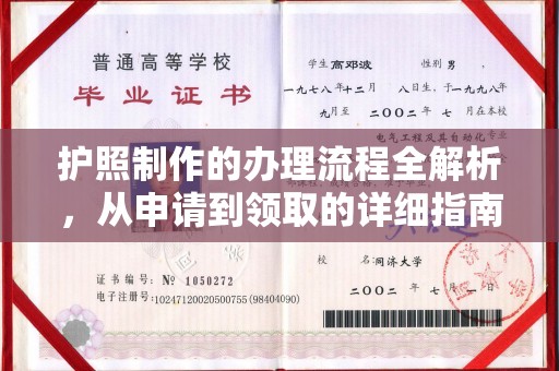上林护照制作的办理流程全解析，从申请到领取的详细指南