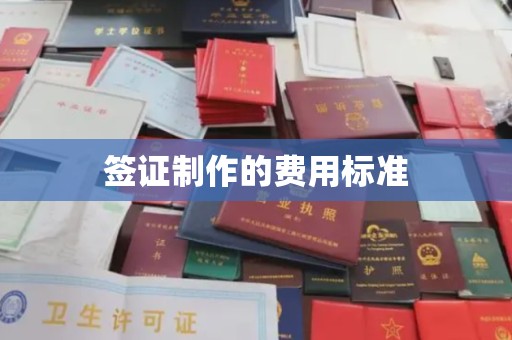 上林签证制作的费用标准
